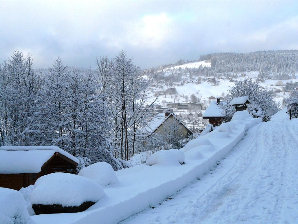 Chalet Les Sapins Argentes Gerardmer Room photo