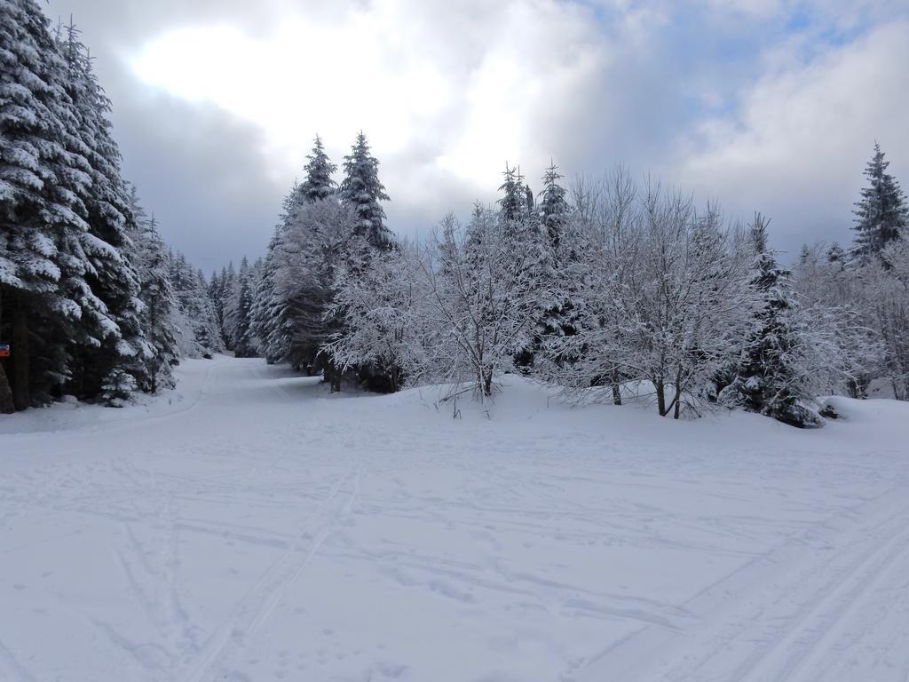 Chalet Les Sapins Argentes Gerardmer Exterior photo