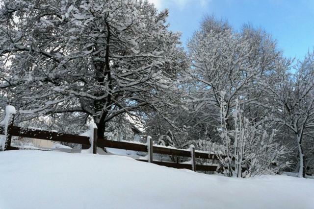 Chalet Les Sapins Argentes Gerardmer Exterior photo
