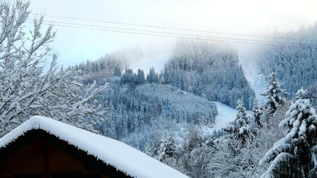 Chalet Les Sapins Argentes Gerardmer Exterior photo